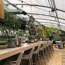 Greenhouse Bar