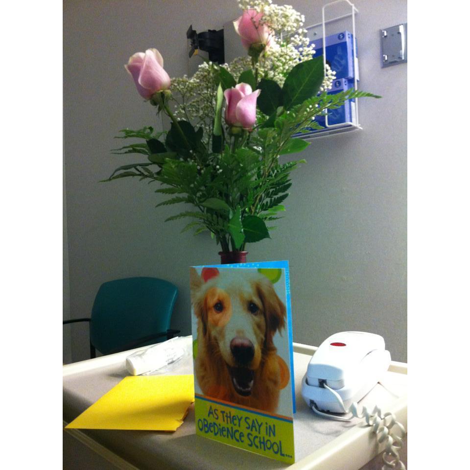 The first flowers Brian ever bought Brittney, while she was recovering from surgery.
