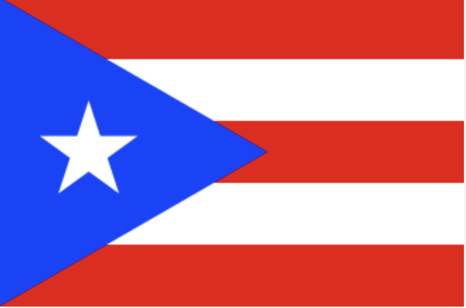 The Wedding Website of Monica Riad and Gerardo Ramos Jr.