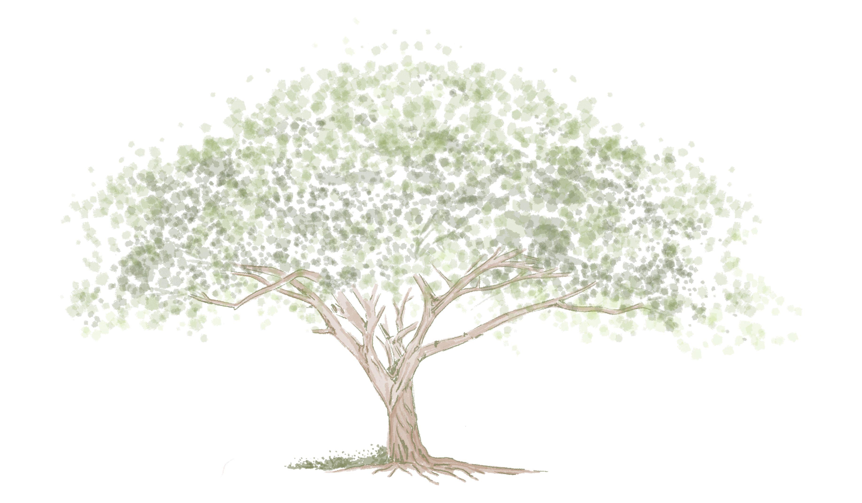 Footer image