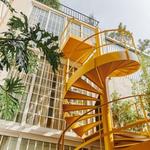 CDMX Hotel -Casa Izeba