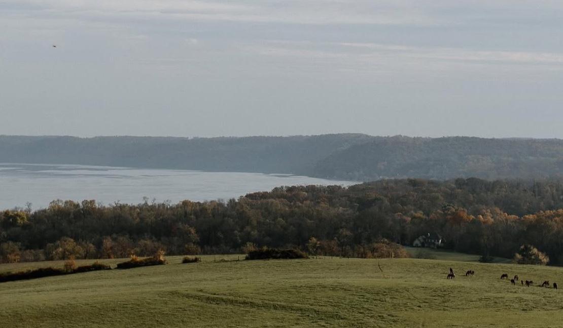 The Wedding Website of Lizmar Mata and Kieran O’brien