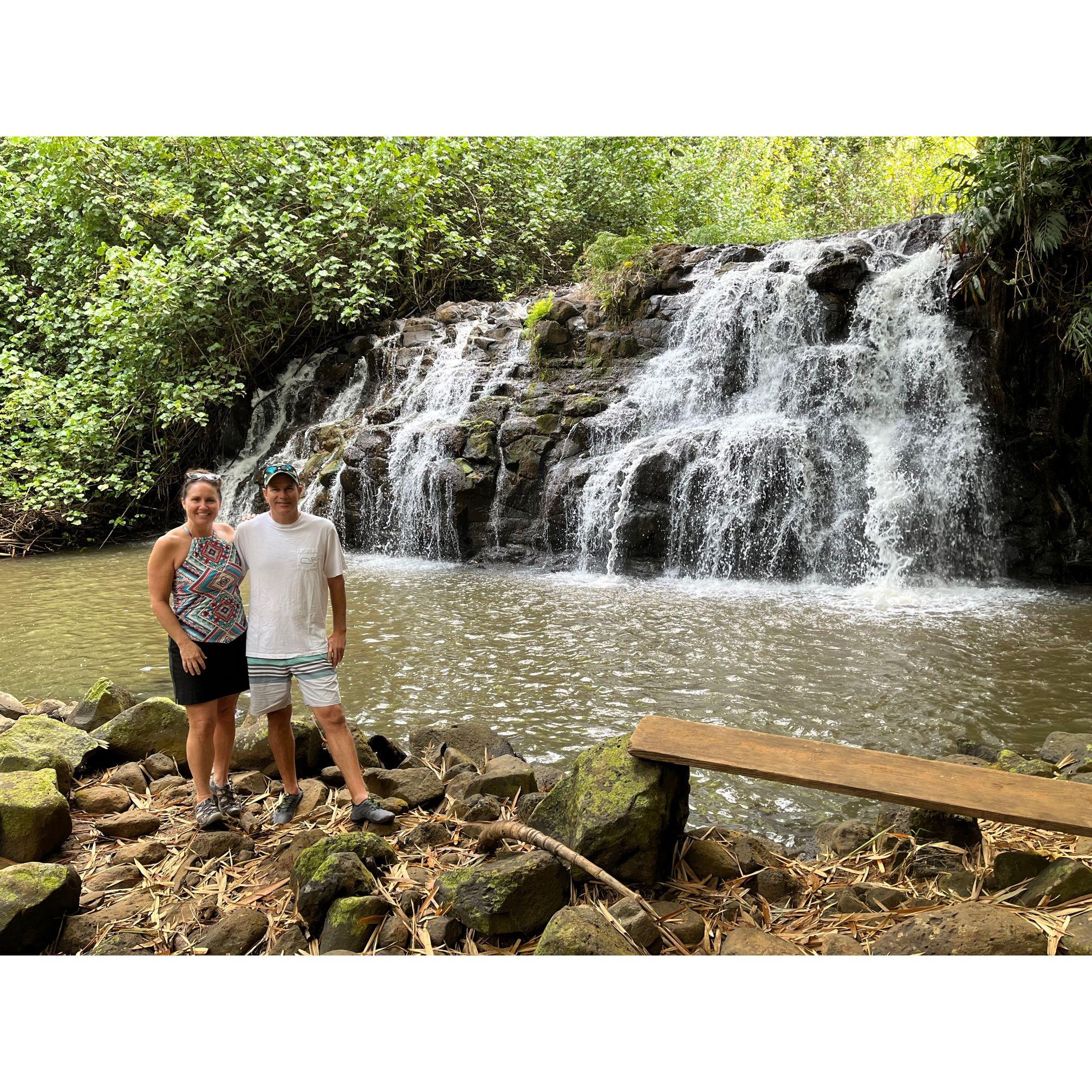Waterfall in Hawaii.
