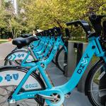 Divvy Bike Rental