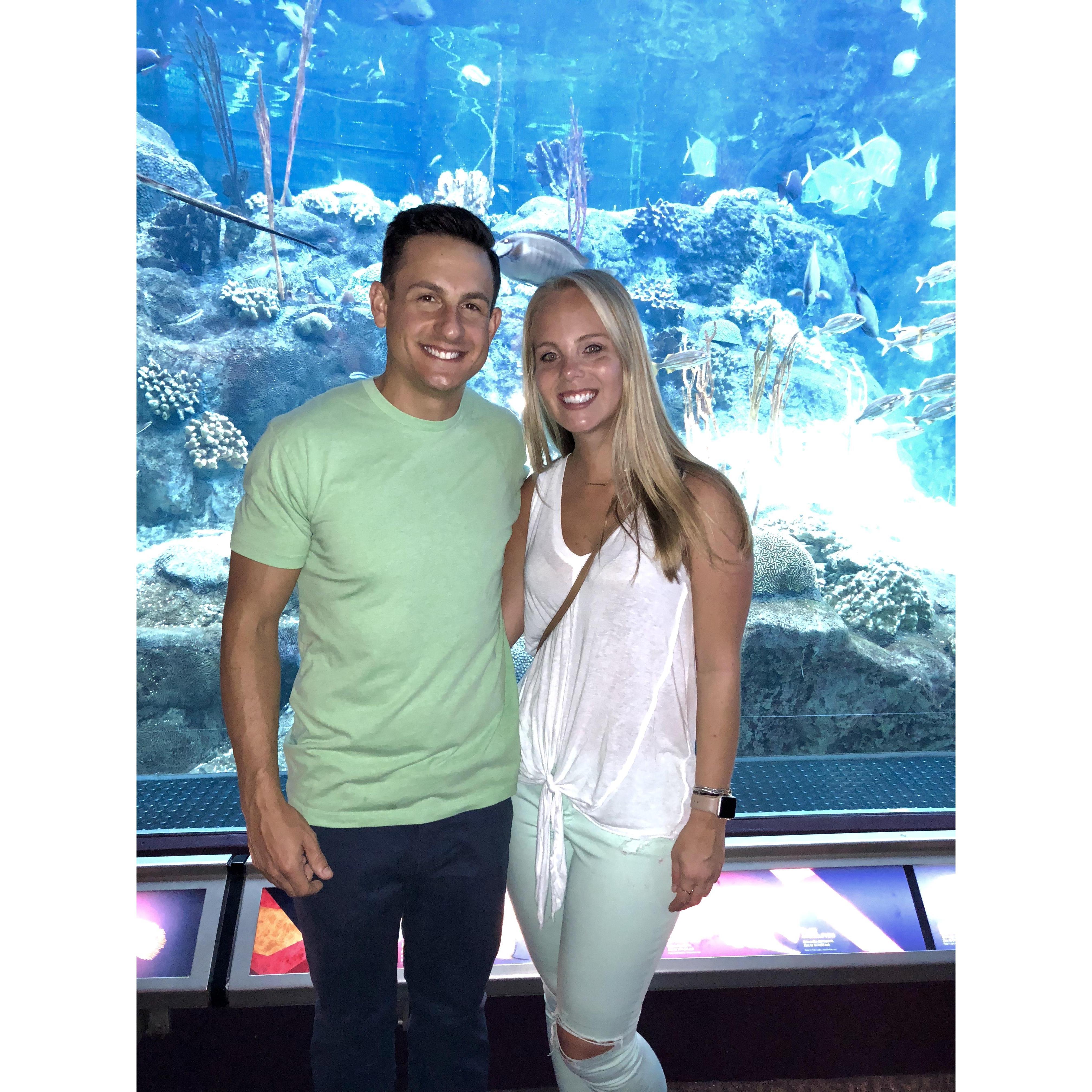 Official members of the Florida Aquarium