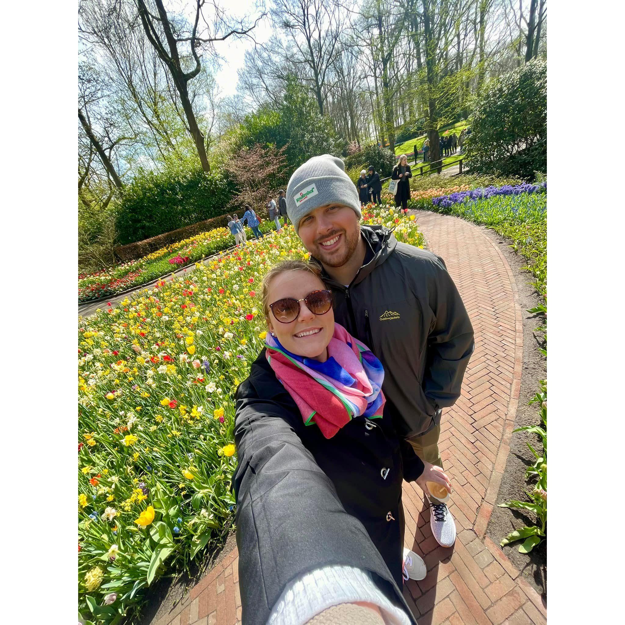 The Keukenhoff Tulip Fields, Netherlands 2024