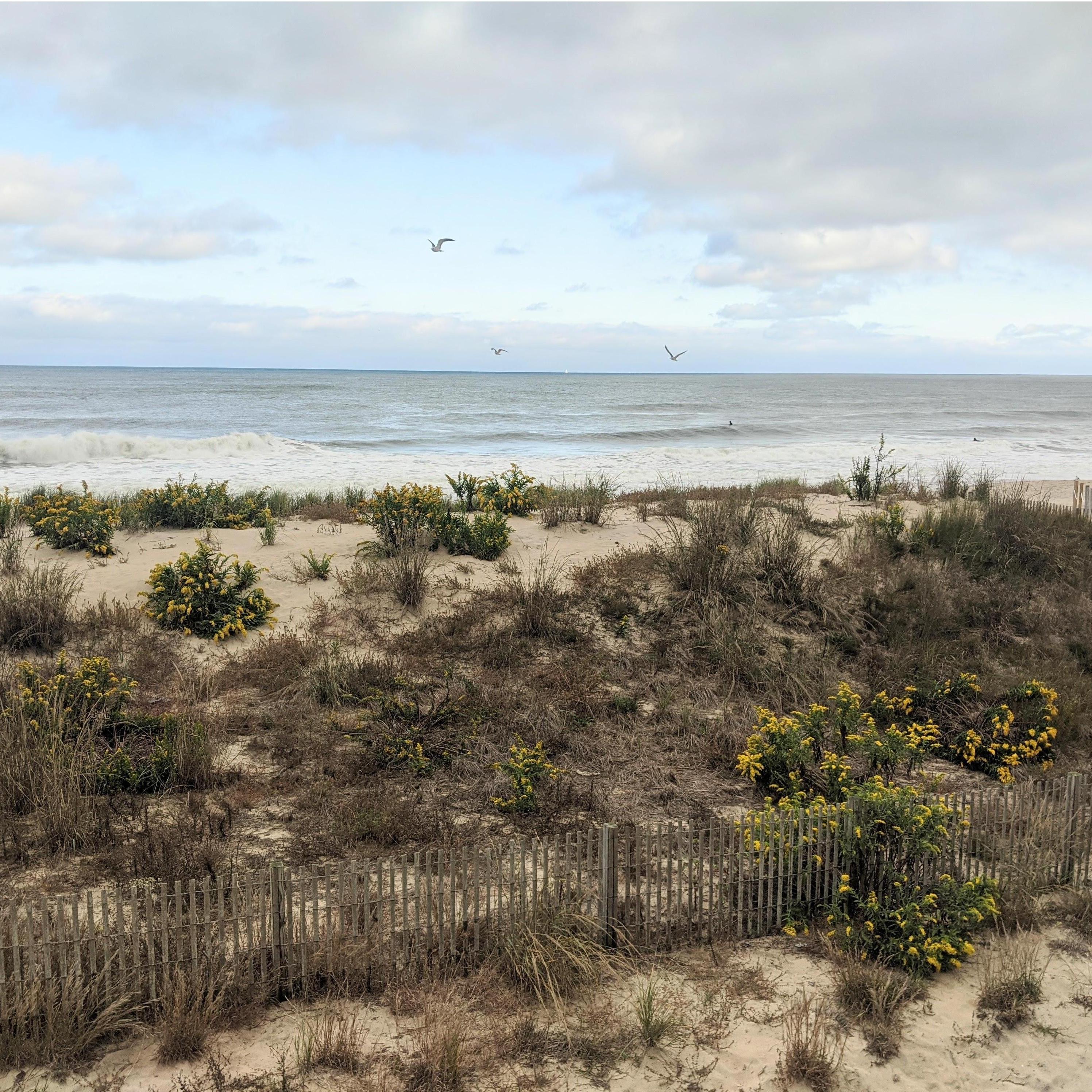 The beautiful October weather on the day Kyle proposed - Ocean City, MD.