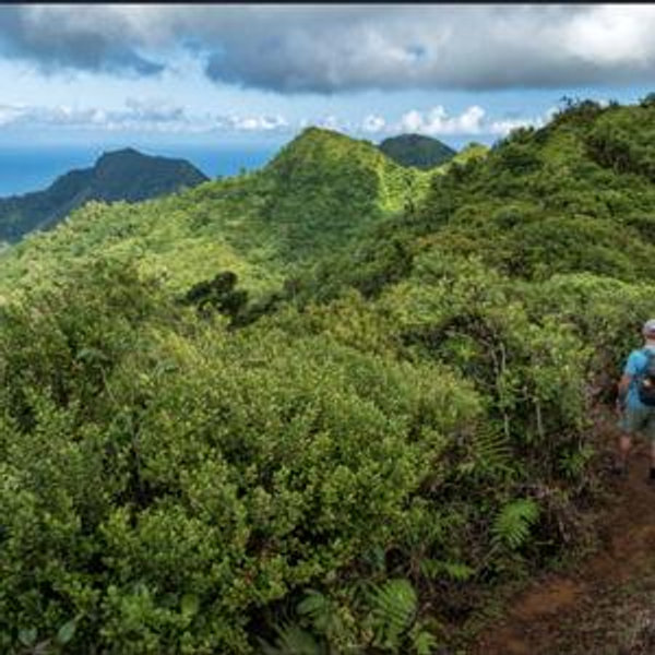 Grand Etang Rainforest Hike
