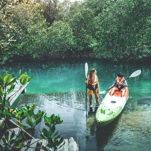 Rainforest Zipline and Kayak Tour on our Honeymoon
