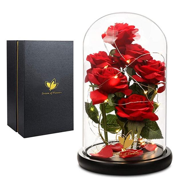 Mothers Day Mom Gifts Beauty and the Beast Rose, Unique Gifts for Her, Romantic Rose for Women, The Newly Designed Gift Box Rose in a Glass Dome for Wedding Anniversary Birthday Gift for Grandma