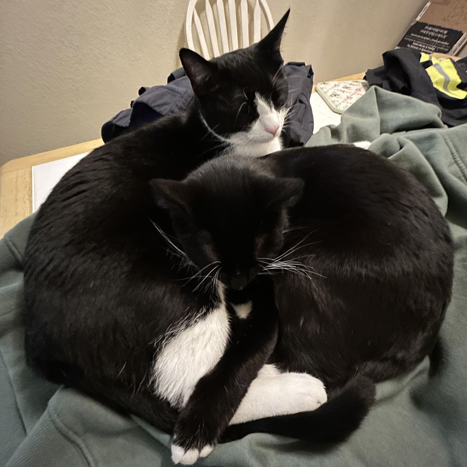 Soos & Tomioka