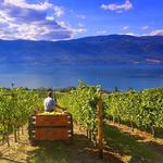 Grey Monk Estate Winery