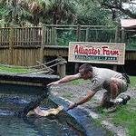 St. Augustine Alligator Farm Zoological Park