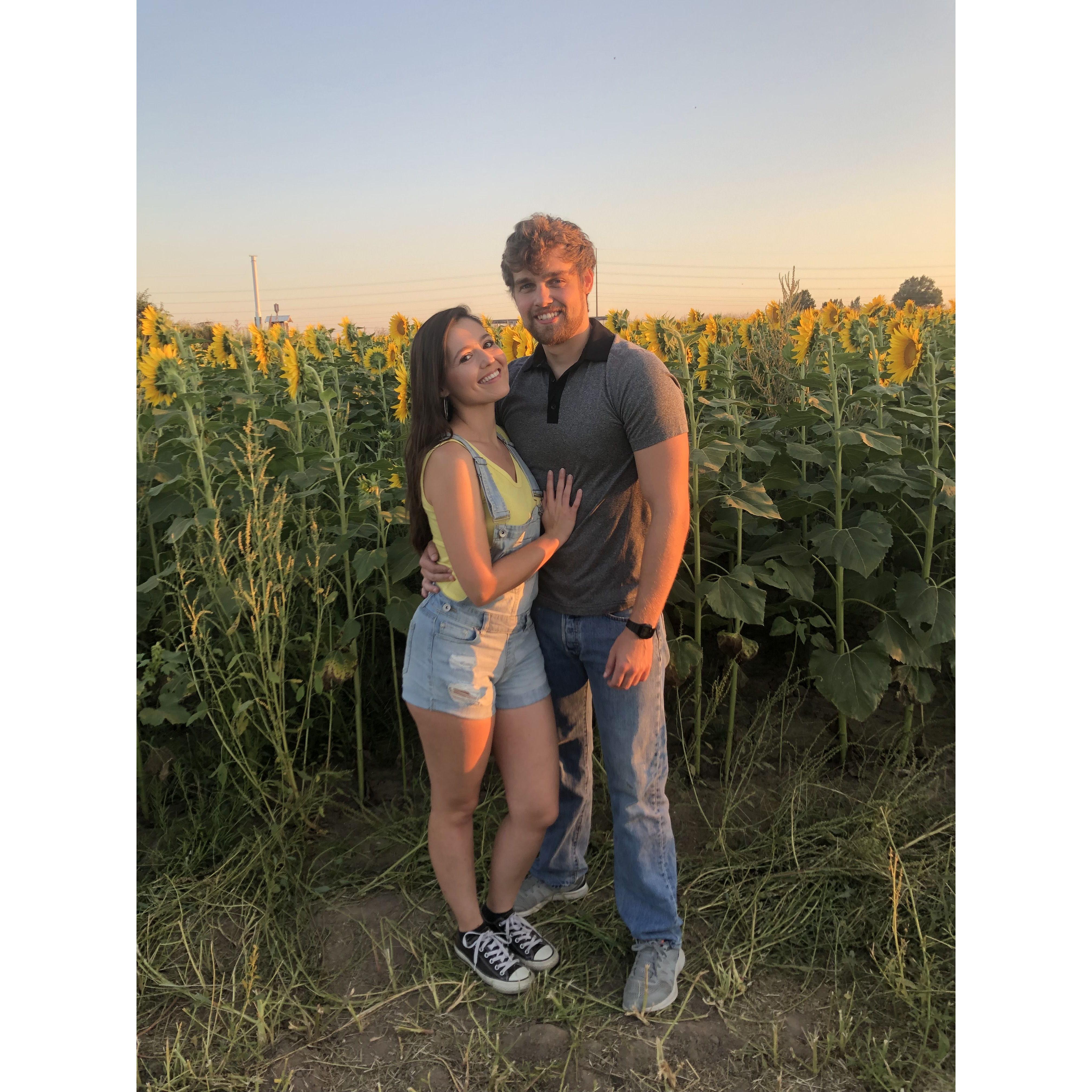September 2021 photoshoot at sunflower field where Tara's old job was.
