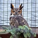 Blandford Nature Center