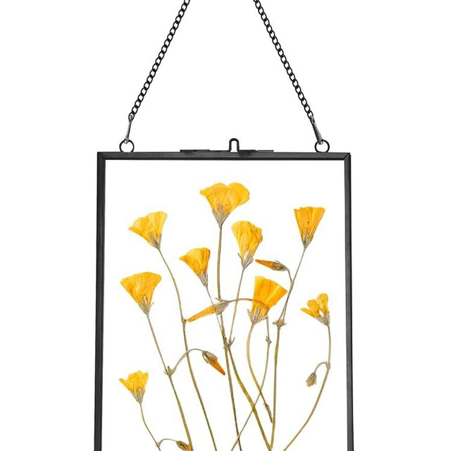 REDHUGO Hanging Pressed Flower Frames, Double Glass Floating Picture Frame Handmade, Glass Frame for Pressed Flowers, Vintage Brass Picture Frame for Artwork Wall Display Mount, Black, 5x7 Inches