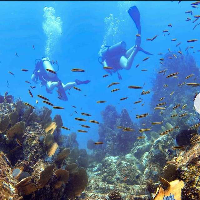 Scuba Diving in Kauai