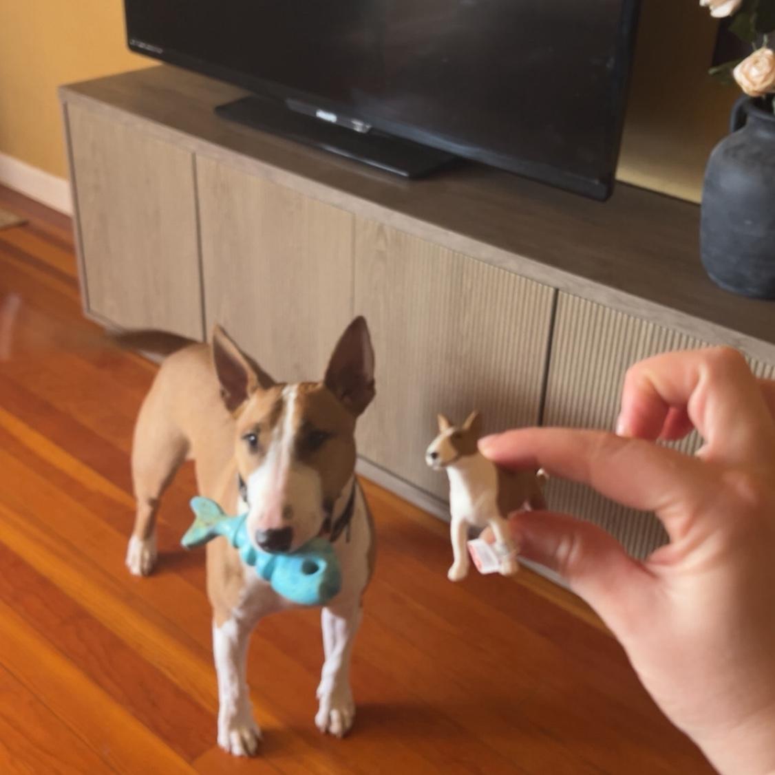 Our Pride and Joy (Cash)