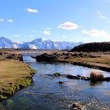 Owens River Fishing