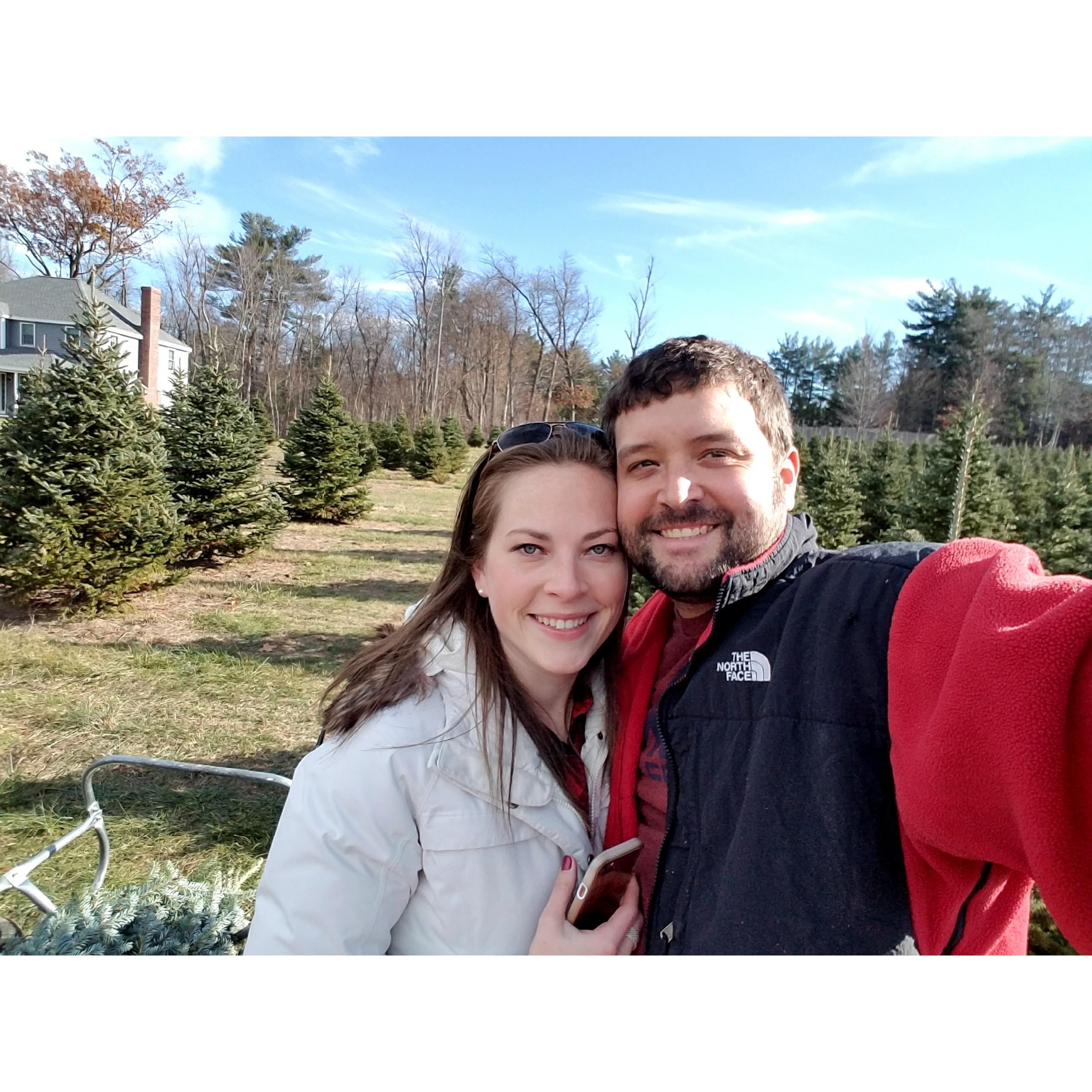 Christmas Tree Shopping! 2017