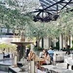 RH West Palm | The Gallery at The Square