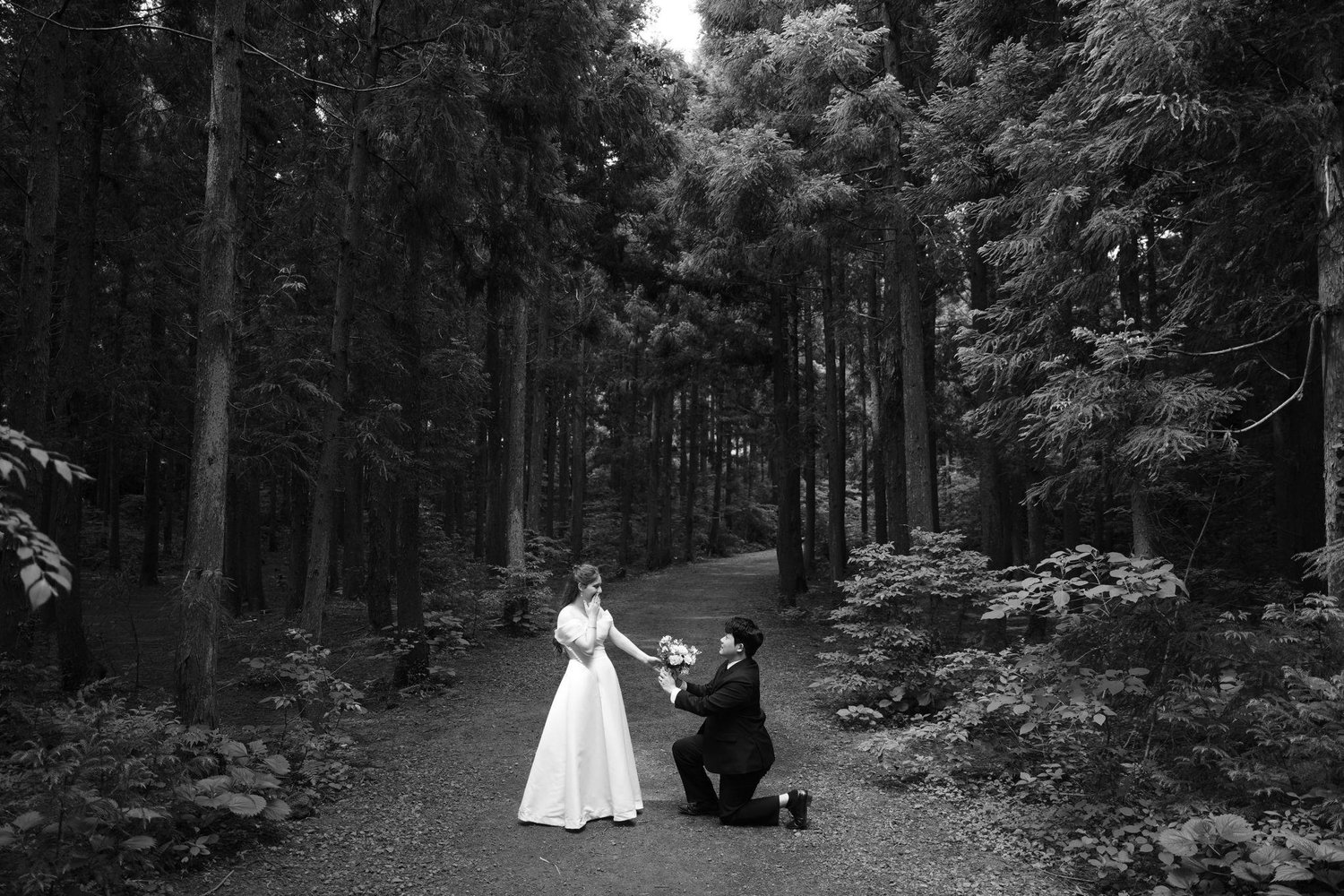 The Wedding Website of Dakota Wuensch and Sungha Kim