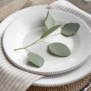 Gabriella Salad Plate, Set of 4