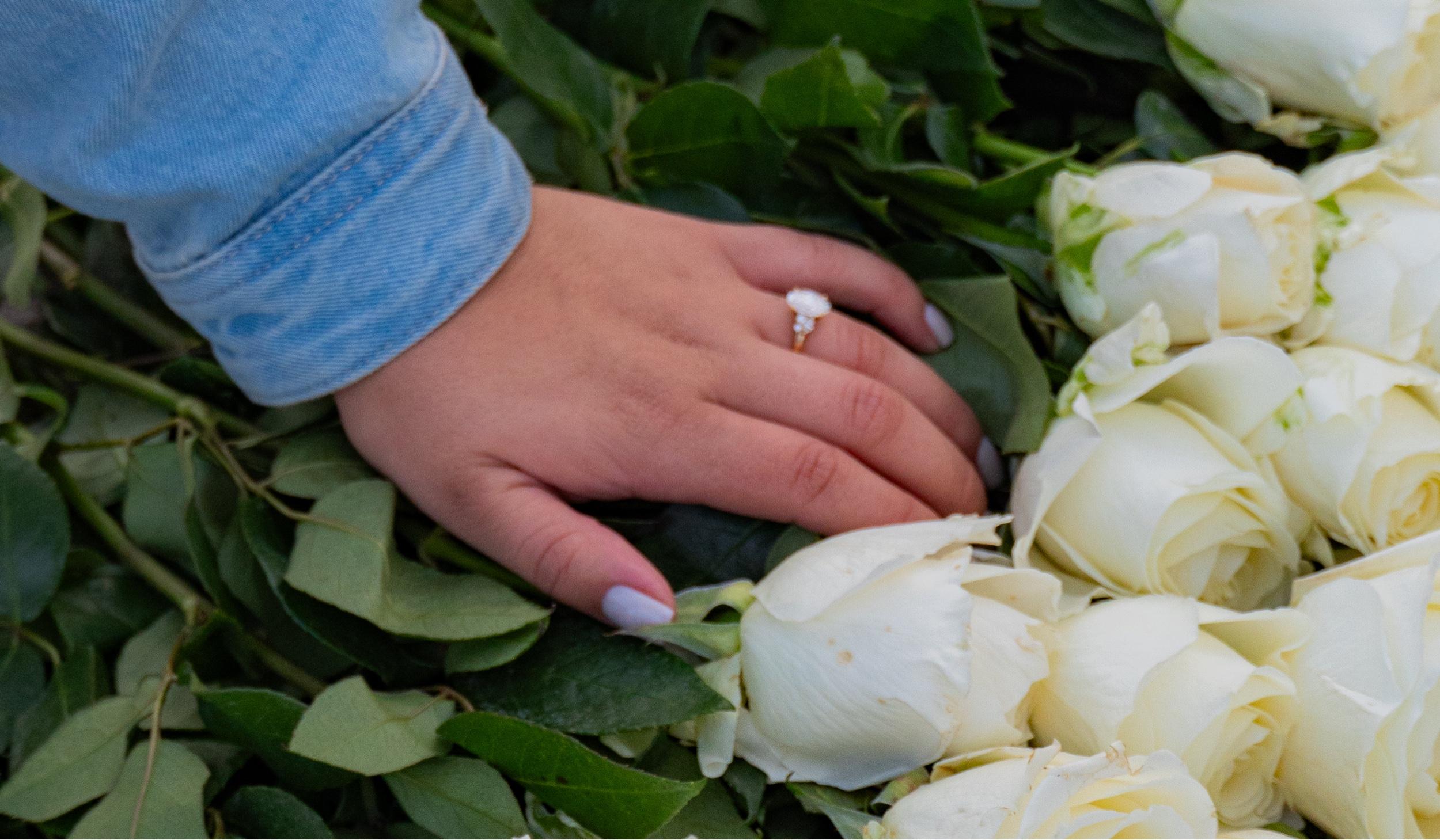 The Wedding Website of Felipe Durango and Mariafernanda Lopez
