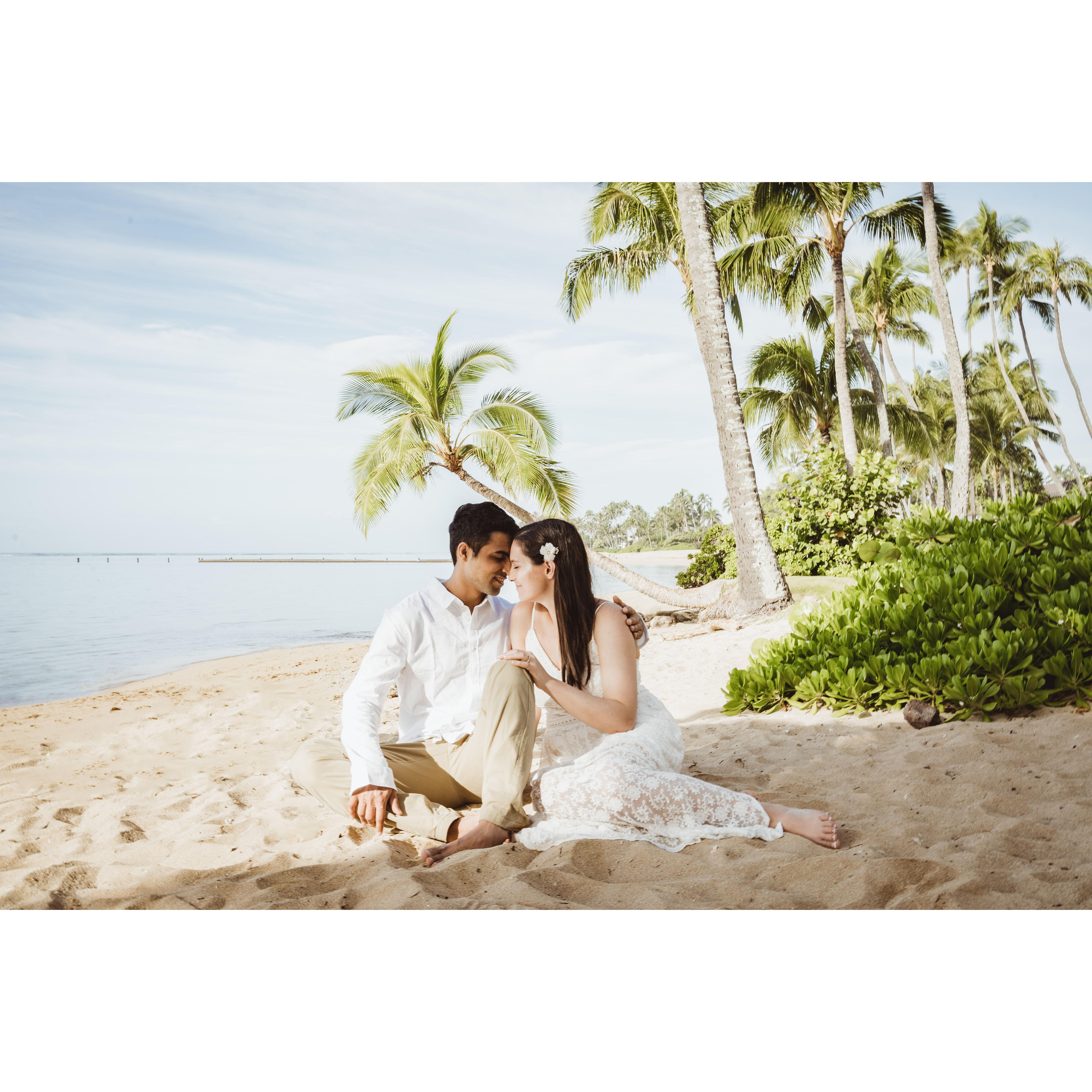 We had so much fun in Hawaii walking along the beach and looking at all of the sea turtles!