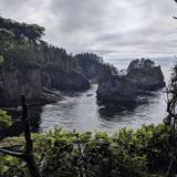 Cape Flattery