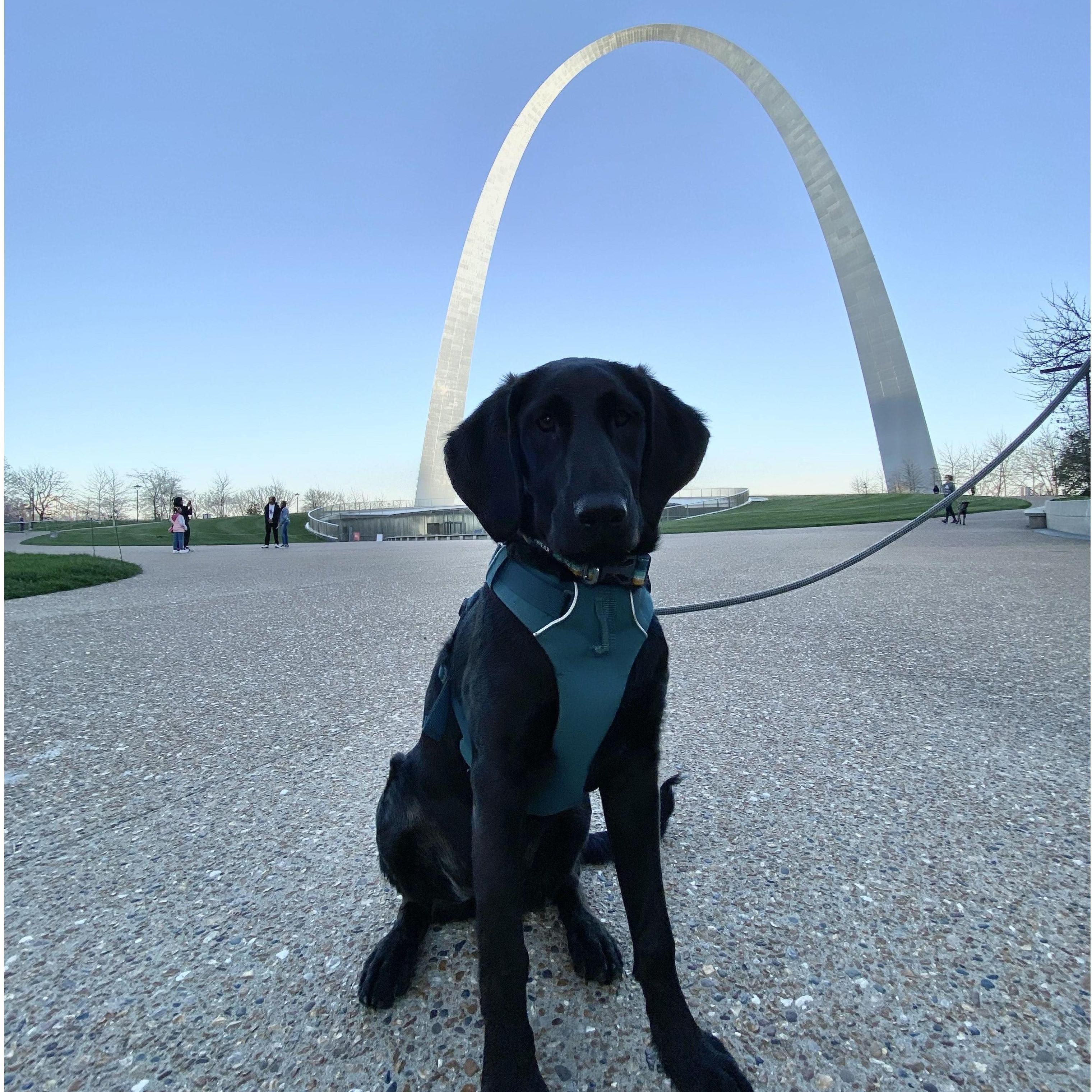Gateway Arch, our first National Parks roadtrip with the newest addition to our family