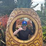 Dole Plantation