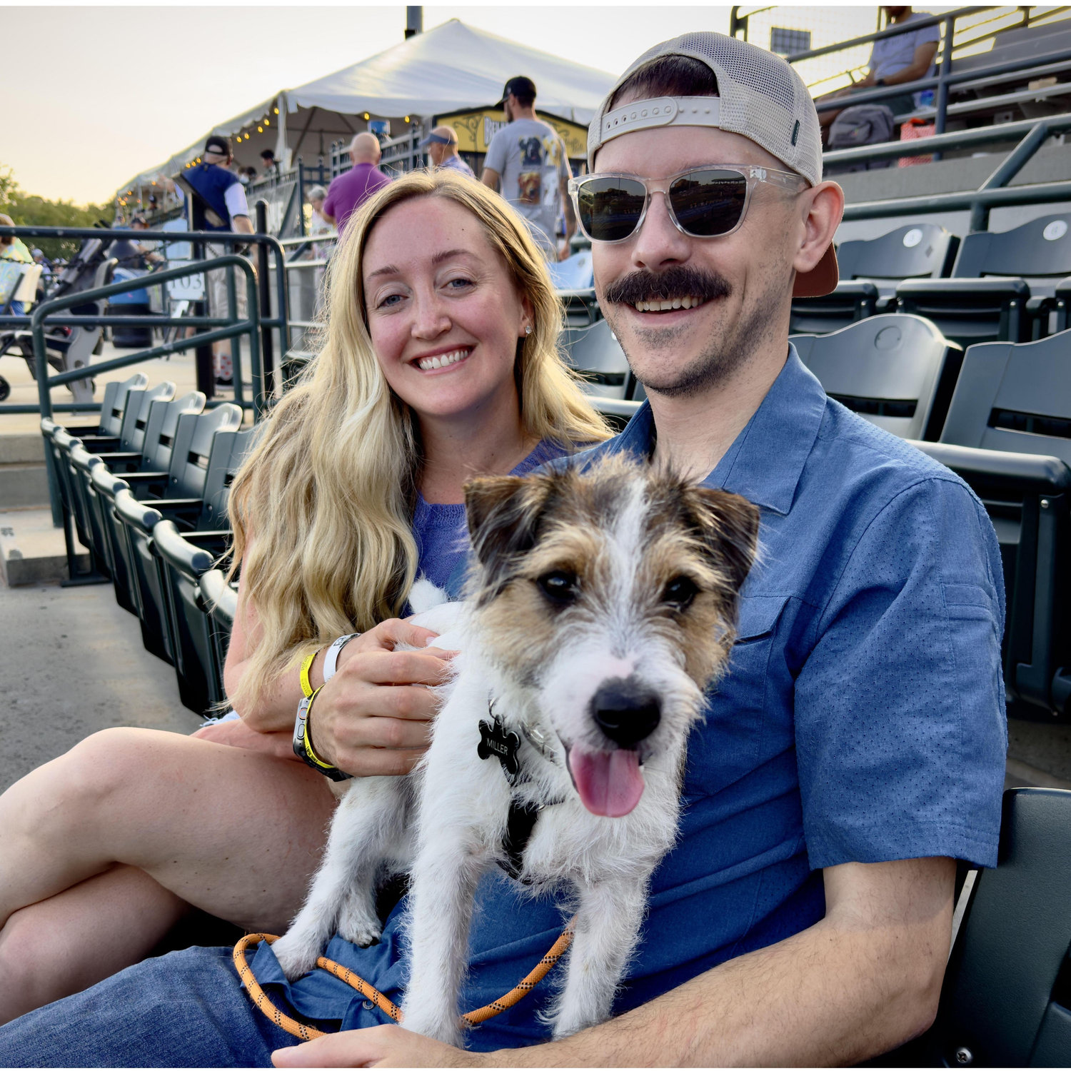Bark in the Park