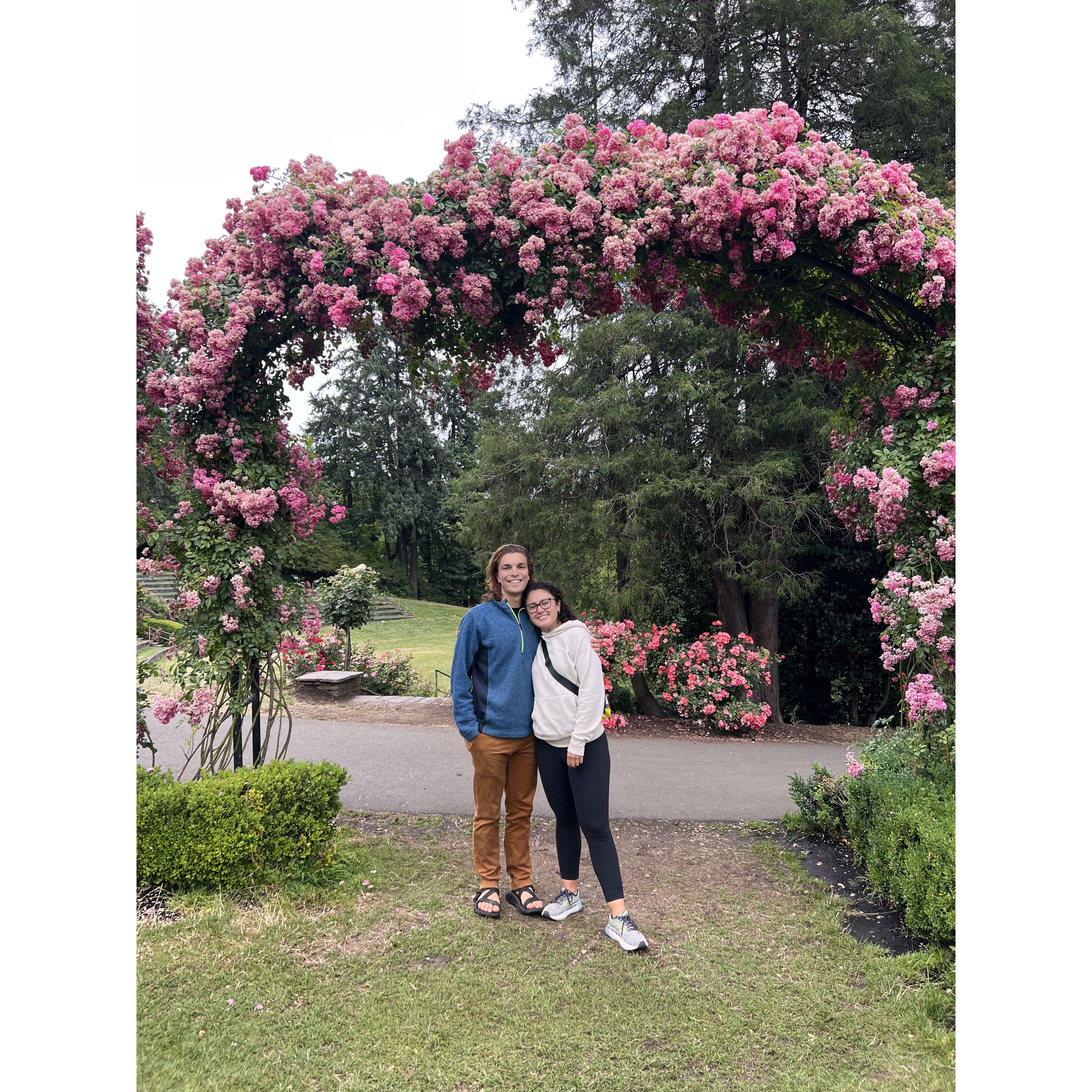 portland rose garden