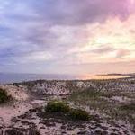 Cape Henlopen State Park