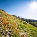 Hiking Trails near the area