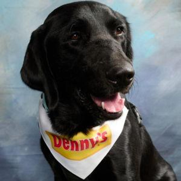 "Year" Supply Of Denny Treats