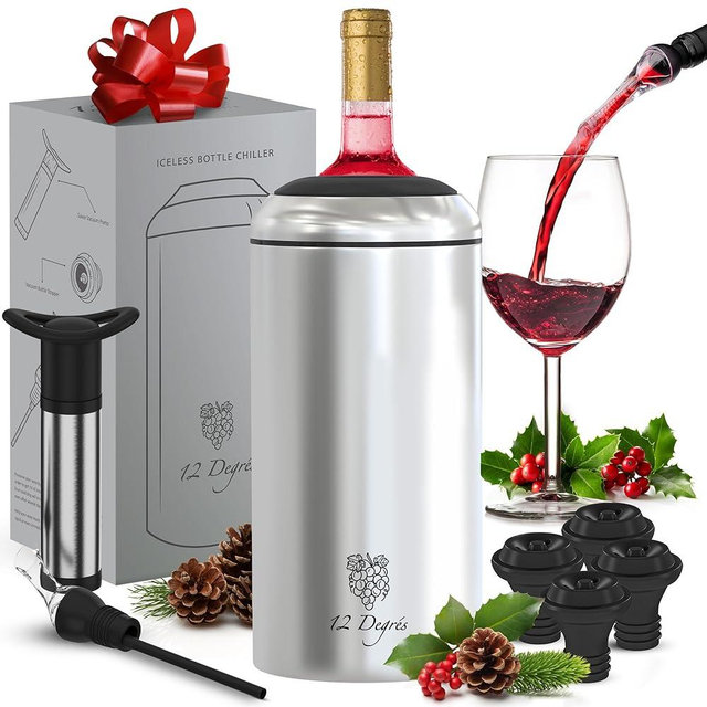 12 Degrés Iceless Wine Chiller Set - Perfect Wine Gifts for Women and Men Including Stainless Steel Insulated Wine Bottle Cooler with Wine Pump, Aerator and 4 Stoppers (Silver)