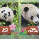 San Diego Zoo