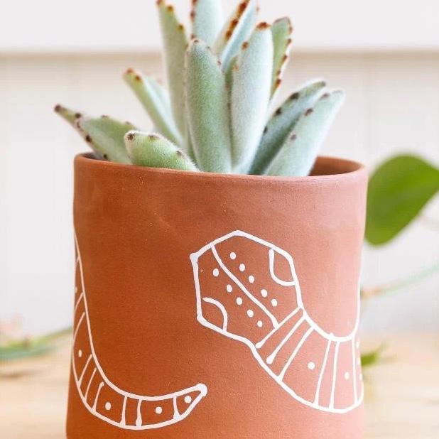 Snake Planter