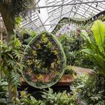 Marie Selby Botanical Gardens Downtown Sarasota campus