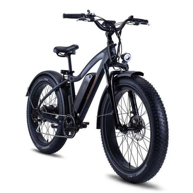 RadRover eBike for Patrick