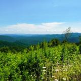Grandview Overlook