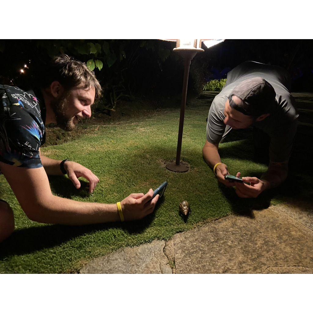 Lighting in the wild