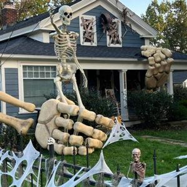 Skeleton Fund