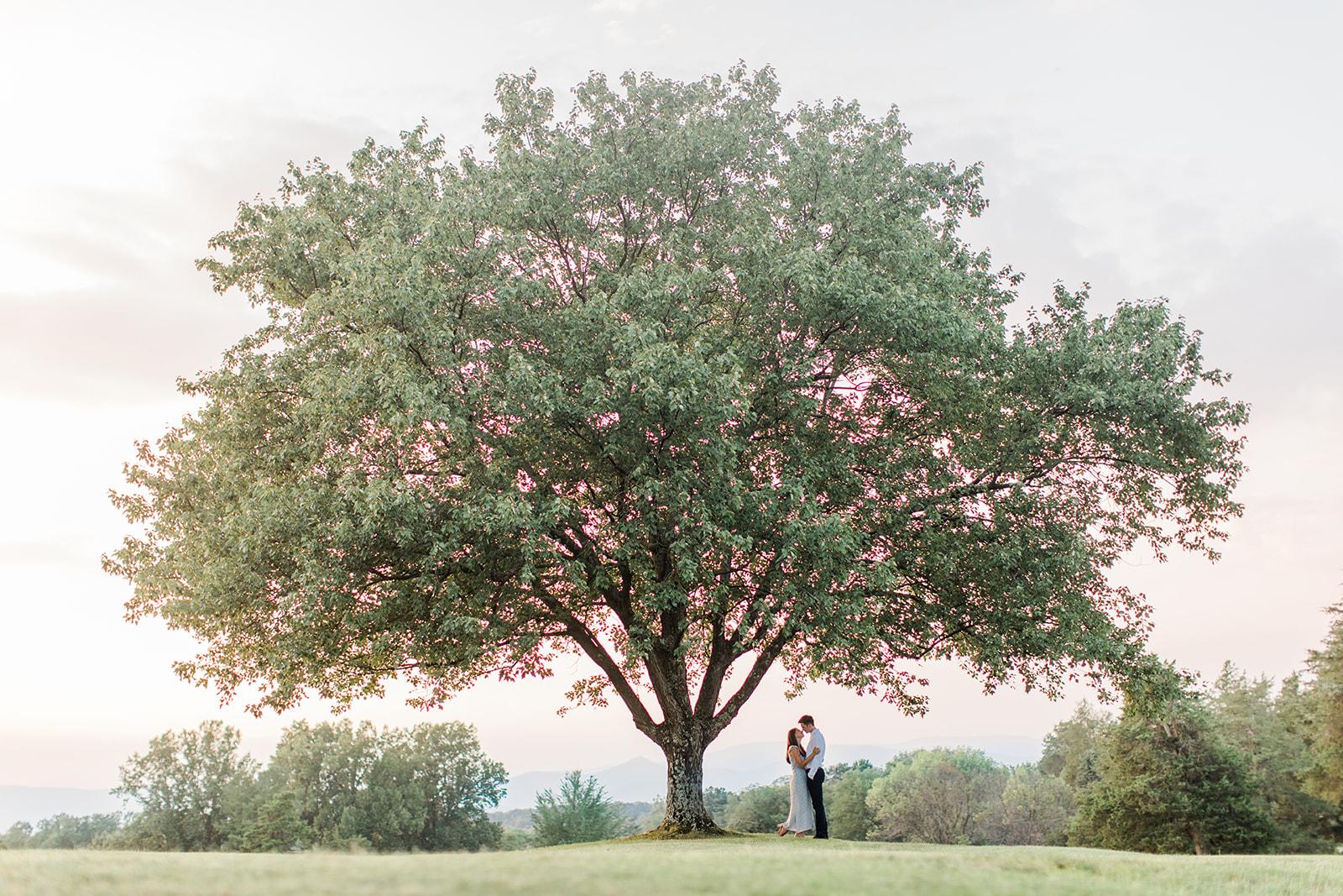 The Wedding Website of Dahler Battle and Elizabeth Weller