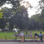 Boston Common/Frog Pond