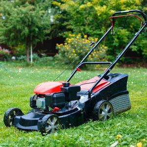 Lawn Mower Fund