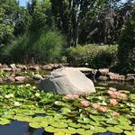 Secrest Arboretum