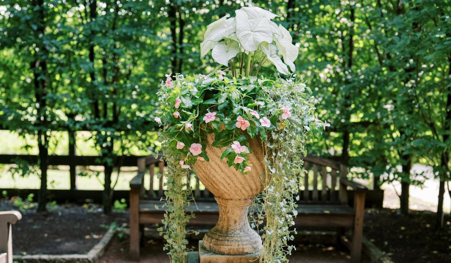 The Wedding Website of Mackenzie Lehmann and Matthew Celona